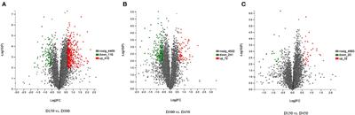 Breast Meat Fatty Acid Profiling and Proteomic Analysis of Beijing-You Chicken During the Laying Period